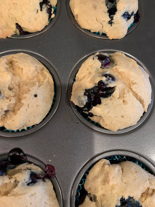 Scrumptious Vegan, gluten free Blueberry Muffins - kid favorite